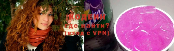 твердый Долгопрудный
