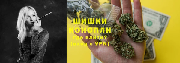 ешки Гусев
