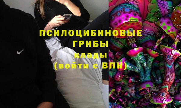 ешки Гусев