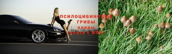 ешки Гусев